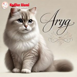 Arya İsminin Anlamı