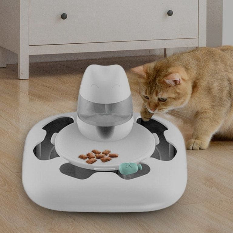 Hareketli kedi oyuncakları