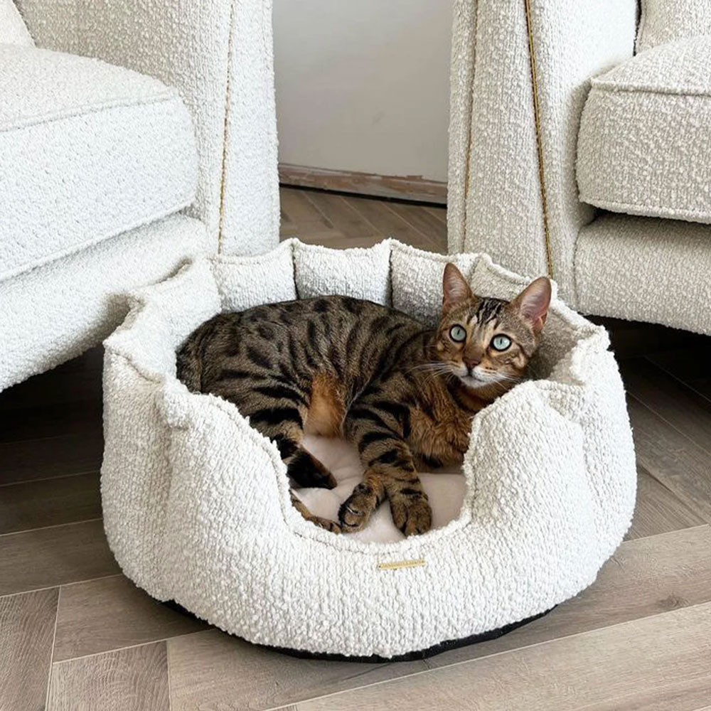 Kedi Yatağı Seçerken Nelere Dikkat Edilmeli