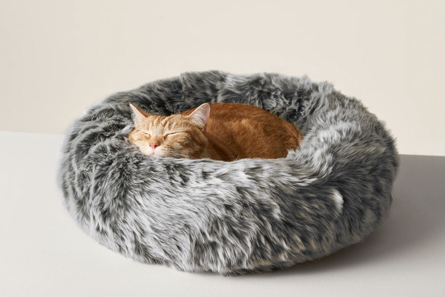 Kedi Yataklarının Faydaları