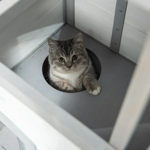 Kedi evi nasıl sıcak tutulur