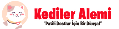 kediler alemi logo