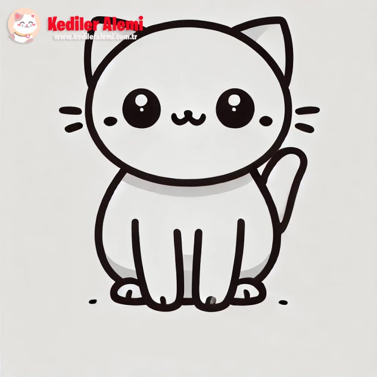 tatlı kedi çizimi kolay